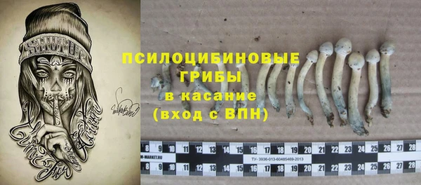 ПСИЛОЦИБИНОВЫЕ ГРИБЫ Армянск