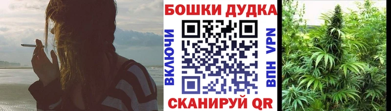 Каннабис конопля  Купить где  Кола 